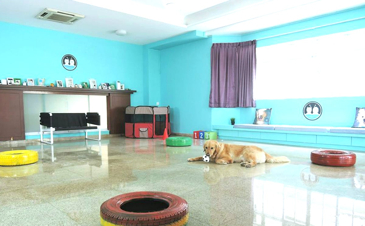 The air-conditioned play room at Wanderlodge